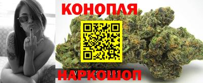 метадон Гусев